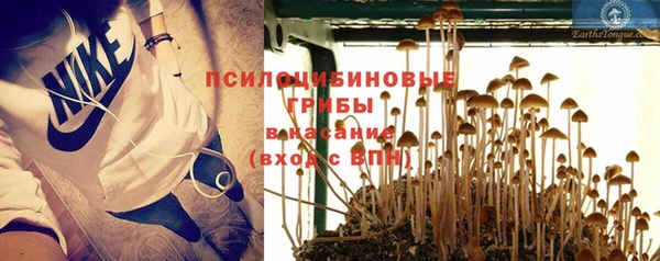 скорость Алексеевка