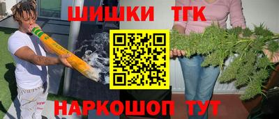 индика Нягань