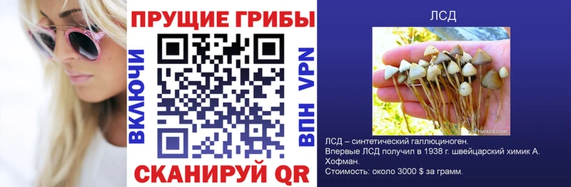 Псилоцибиновые грибы мухоморы  продажа наркотиков  Мегион 