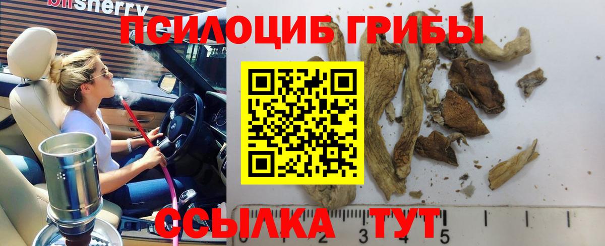 Псилоцибиновые грибы Cubensis  Вход с VPN  цена наркотик  Галлюциногенные грибы MAGIC MUSHROOMS  Мегион 